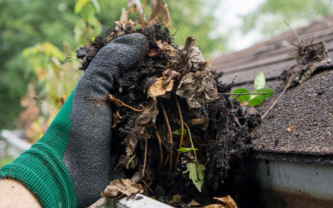 Why and When to Clear Your Gutters at Home